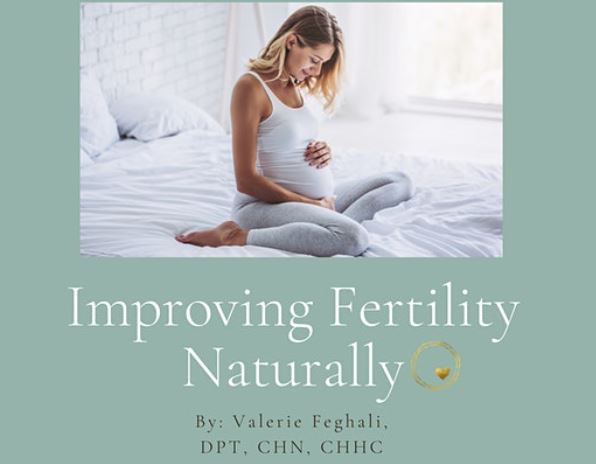 Improve Fertility Naturally Online Workshop